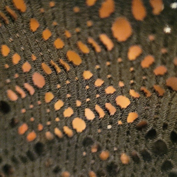 Bathing Suit Top - Picture 5 of 5